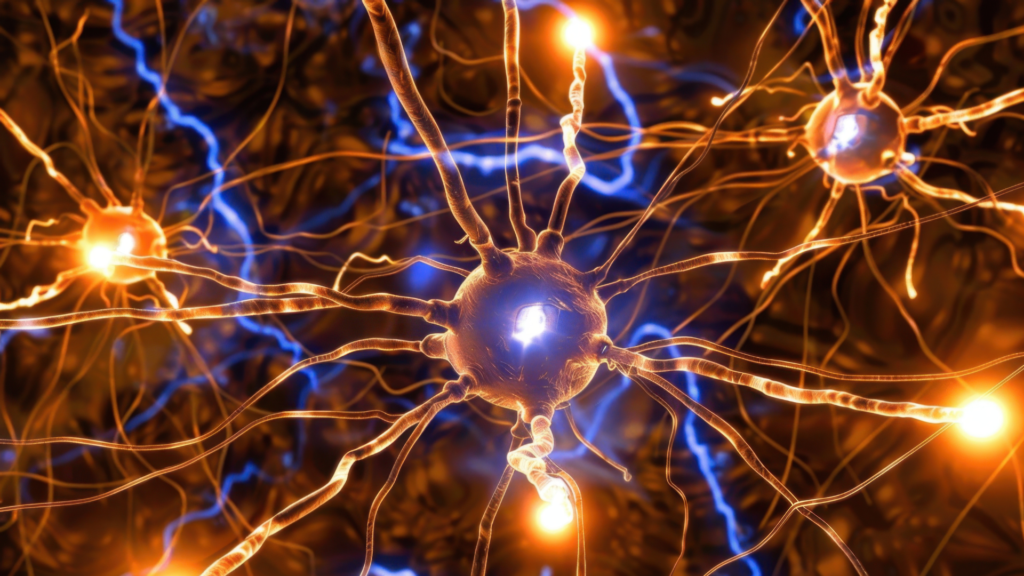 神経の中に電流が流れる様子